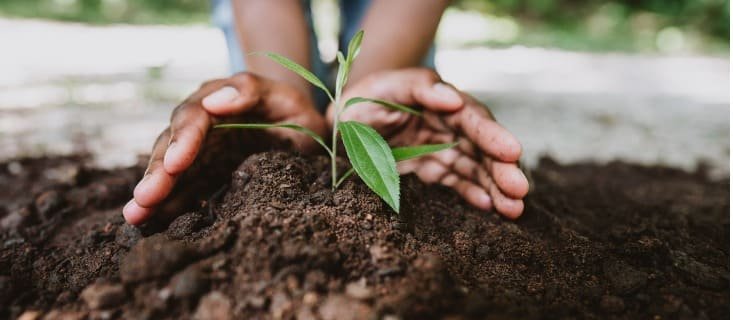 projetos fundação cargill